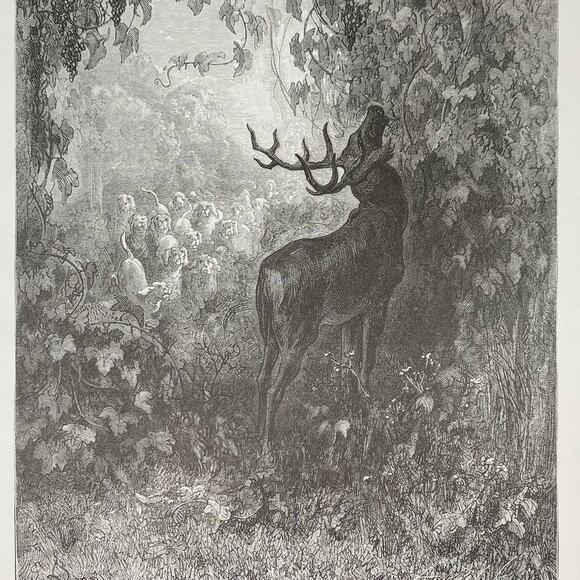 Dore, Fables, Stag and Vine, Eagle and Owl, Print, Bookplate, Art~ 240706-WH 290 - Picture 1 of 4